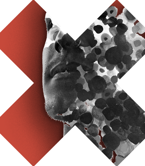 face recognition softwares